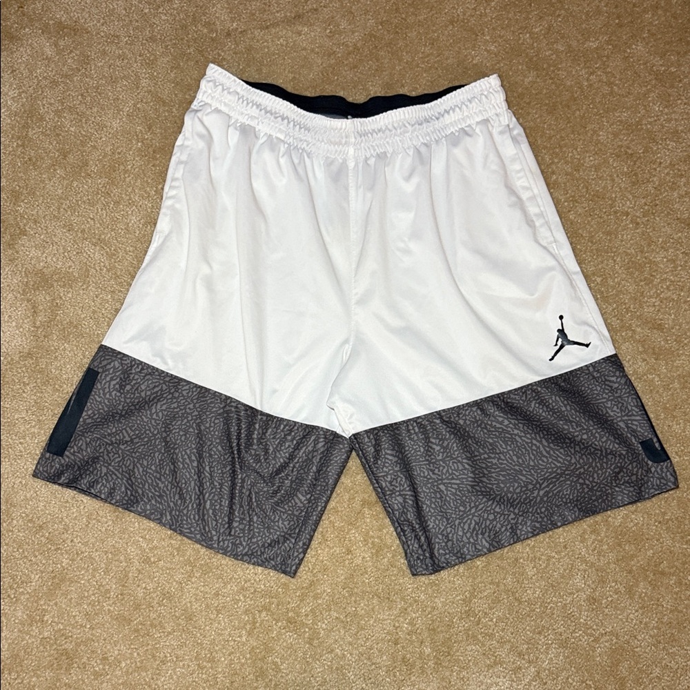 Jordan‎ Mens Dri-Fit Shorts